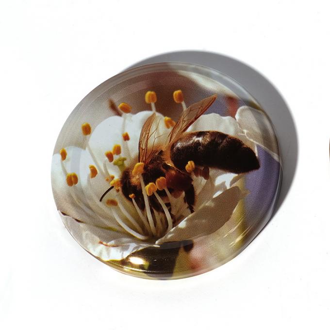 Precio barato 43mm 48mm 53mm 58mm 63mm Jarrón de vidrio de miel de metal tapa superior de hojalata 12